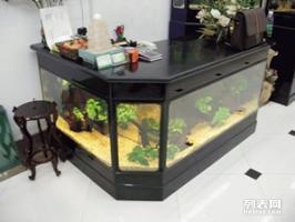 南山魚(yú)缸護(hù)理與寵物食品購(gòu)買(mǎi)指南